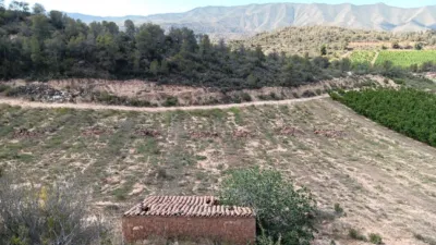 Rustic farm on Calle Partida Vall de Amet, No. Sn photo 7